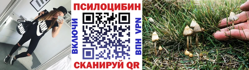 где продают   Углич  kraken онион  Галлюциногенные грибы мицелий 